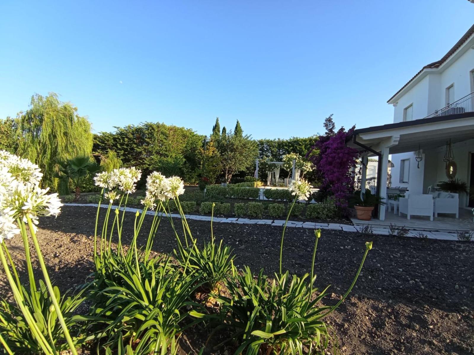 Tenuta Viale Degli Ulivi San Martino in Pensilis Exterior photo
