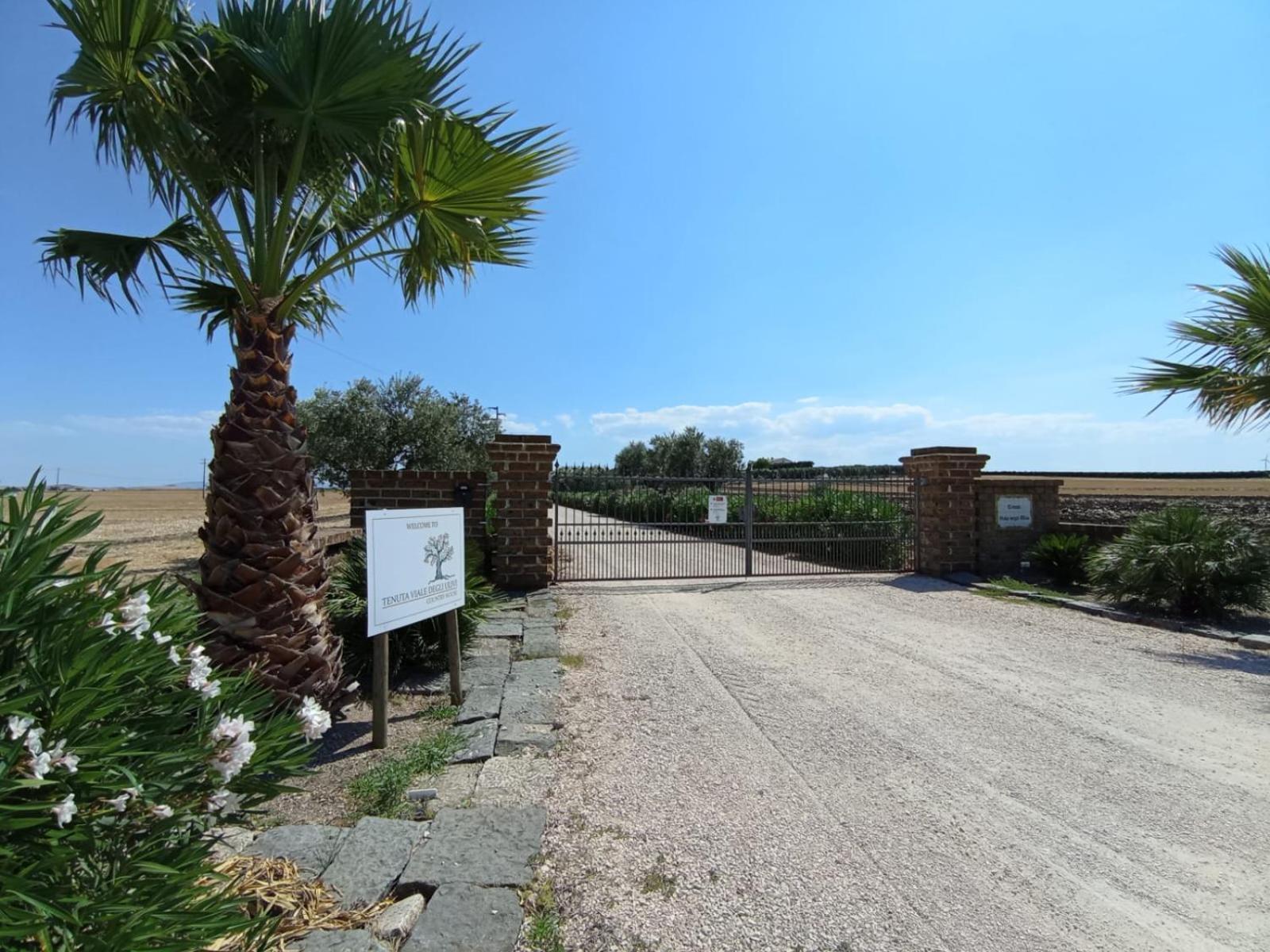 Tenuta Viale Degli Ulivi San Martino in Pensilis Exterior photo